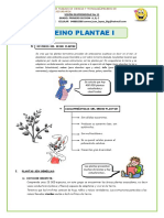 01 El-Reino - Plantae I-Características-Secundaria