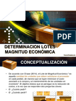 Determinacion Lotes Magnitud Económica