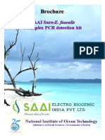 SAAI Sure BROCHURE - Folded