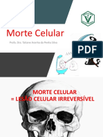 8 +morte+celular