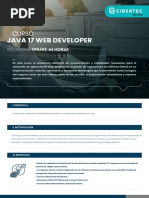 Java 17 WEB Developer