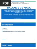 Balance de Masa