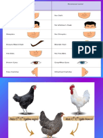 Non-Mendelian Genetics (Sample Problems)