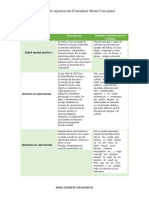 Concepto Salud Mental