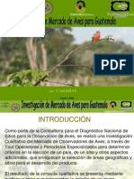 Investigación de Mercado de Aves para Guatemala