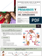 Cambios Primarios y Secundarios Del Adolescente