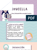 Brucella