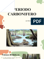 Periodo Carbonifero Js