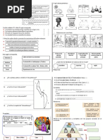 Fichas de Culturas