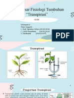 Materi Transpirasi - Kelompok 4