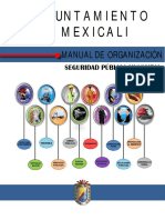 ManualOrganizacionDSPM (4088)