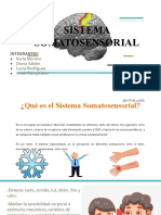 Sistema Somatosensorial