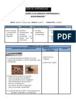 Sesion de 4to Animales Invertebrados