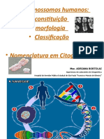 Cromossomos Humanos - Estrutura, Morfologia e Classificação - Nomenclatura - Maio 2021