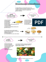 Pauta Hipocalórica