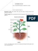 03-Flowering Plants