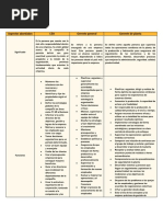 Cuadro Comparativo de Un CEO, Gerente General y Gerente de Planta