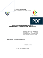 Principio de Progresividad en El Ordenamiento Constitucional Boliviano