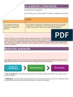 Nutrición Autótrofa y Heterótrofa