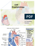 CHF Pathophysiology