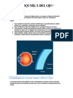 Bioquimica Del Ojo