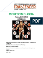 MORFOFISIOLOGIA TP #1 Extremidades Inferiores Unico