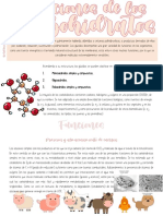 Funciones de Los Carbohidratos