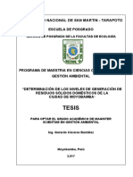 Maestria Gestion Ambiental - Gerardo Cáceres Bardález