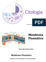 3 - Membrana Plasmática