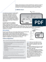 Monografia Diabetes