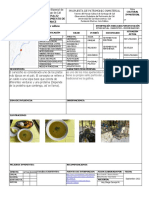 Ficha Identificación Patrimonio INMATERIAL 2022