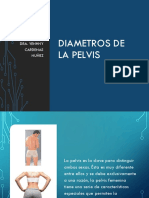 6 Diametros de La Pelvis