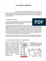 B4a - El Sistema Nervioso