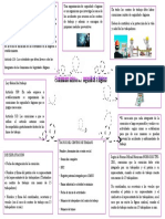 Comisiones Mixtas de Seguridad e Higiene