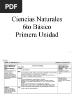 Planificacion Ciencias 6°básico Anual