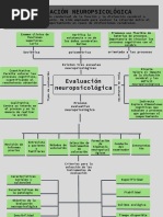 Trabajo de Neuropsicología