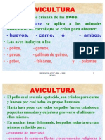 AVICULTURA