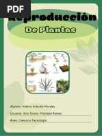 Reproducción en Plantas