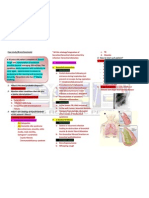 Case Study (Bronchiectasis Chest)