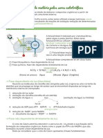 Obtenção de Matéria Pelos Seres Autotróficos - Bio10