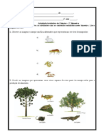Atividade Avaliativa 2º Bimestre