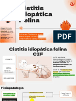 Cistitis Idiopática Felina