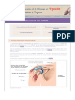 La Rééducation de L'épaule Douloureuse Non Opérée Par L'unité de Chirurgie de L'épaule de La Clinique Capio Fontvert À Avignon Vaucluse 84 À Proximité de Carpentras Et Orange