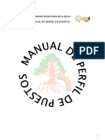 Manual de Perfil de Puestos