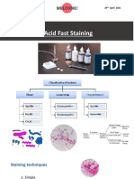 7.29th April - AF and Endospore Staining