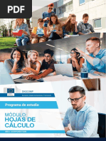 Módulo Hojas de Cálculo (Syllabus)