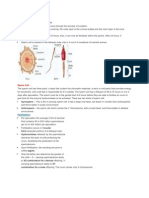 Fetal Growth and Development