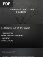 Chlorophyll and Other Pigments