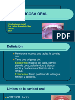 2017 Mucosa Oral