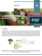 L Sulforafano 1%: (Brassica Oleracea)